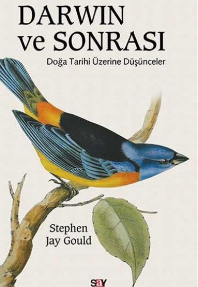 Darwin ve Sonrası - Doğa Tarihi Üzerine Düşünceler