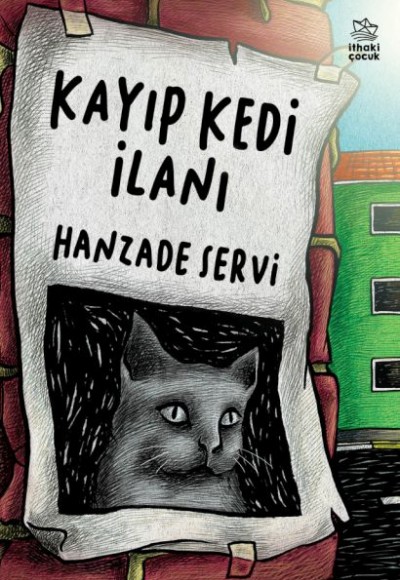 Kayıp Kedi İlanı