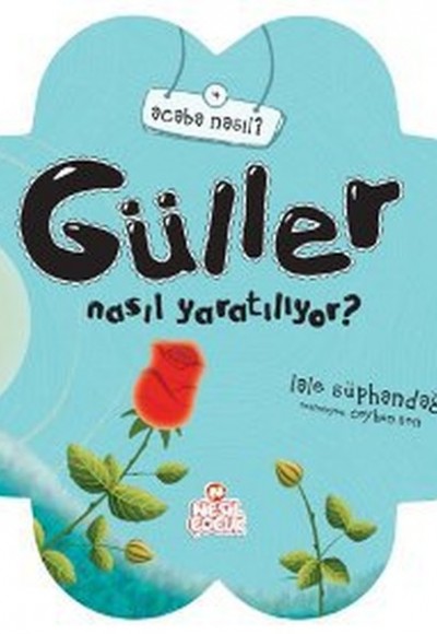 Gül Nasıl Yaratılıyor?