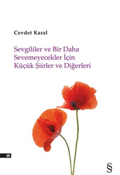 Sevgililer ve Bir Daha Sevemeyecekler İçin Küçük Şiirler ve Diğerleri