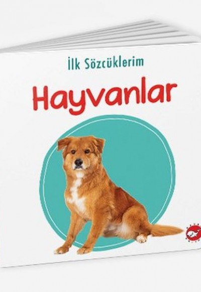 İlk Sözcüklerim - Hayvanlar