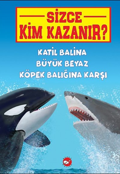 Sizce Kim Kazanır? Katil Balina Büyük Beyaz Köpek Balığına Karşı