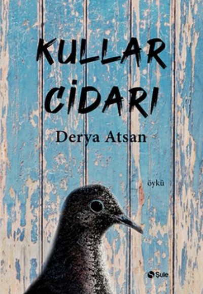 Kullar Cidarı