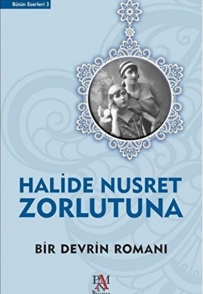 Bir Devrin Romanı