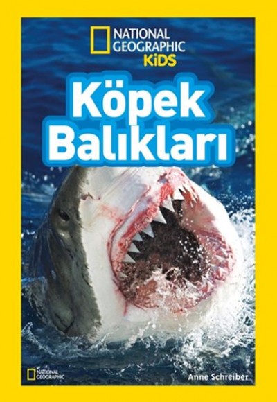 Köpek Balıkları - National Geographic Kids