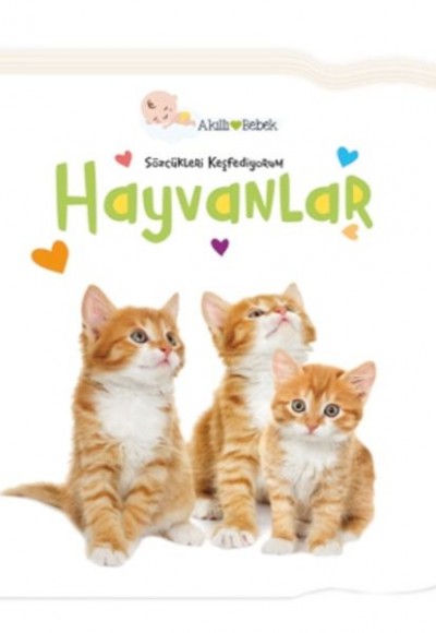 Hayvanlar - Sözcükleri Keşfediyorum