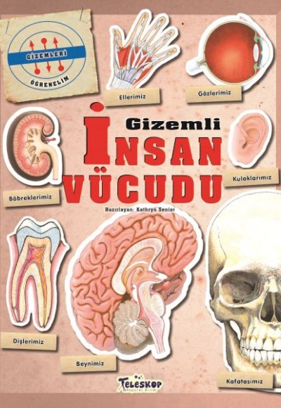 Gizemleri Öğrenelim - Gizemli İnsan Vücudu