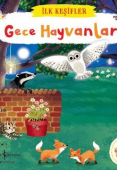 İlk Keşifler - Gece Hayvanları (Ciltli)