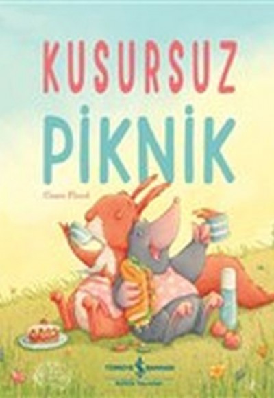 Kusursuz Piknik