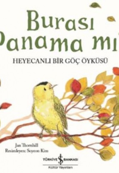 Burası Panama mı? - Heyecanlı Bir Göç Öyküsü