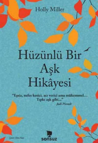 Hüzünlü Bir Aşk Hikâyesi