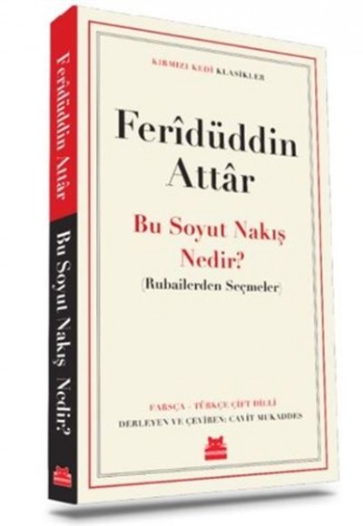 Bu Soyut Nakış Nedir?