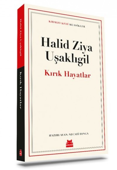 Kırık Hayatlar