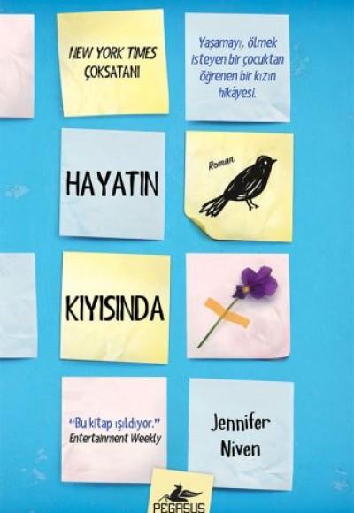 Hayatın Kıyısında (Ciltli)