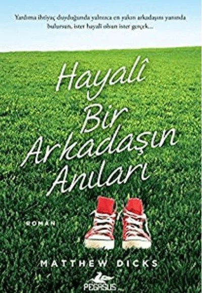 Hayali Bir Arkadaşın Anıları