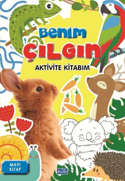 Benim Çılgın Aktivite Kitabım Mavi Kitap