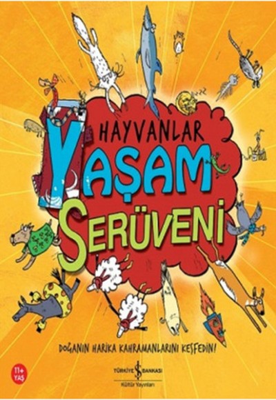 Hayvanlar - Yaşam Serüveni