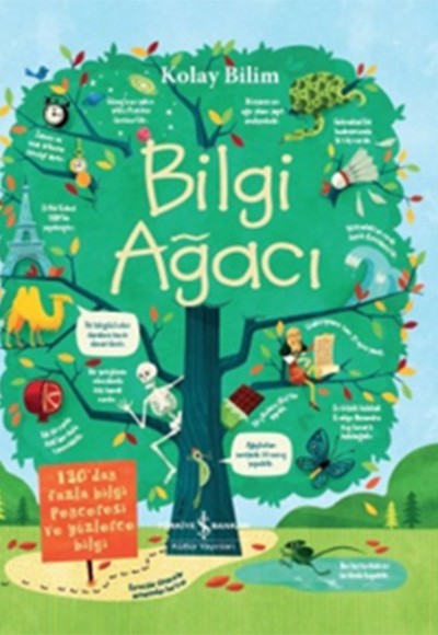 Kolay Bilim - Bilgi Ağacı