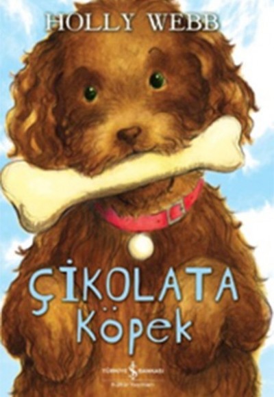 Çikolata Köpek