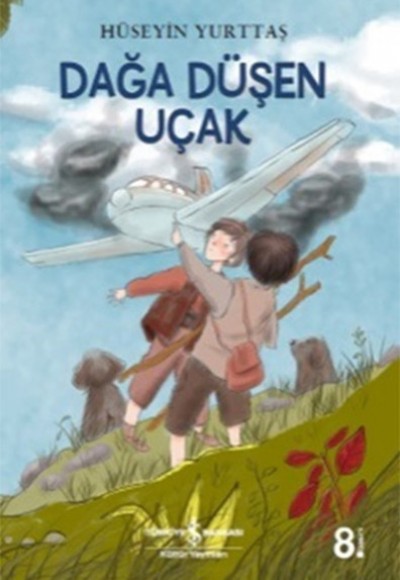 Dağa Düşen Uçak