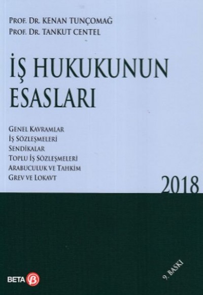 İş Hukukunun Esasları