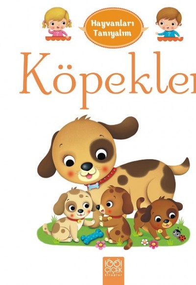 Hayvanları Tanıyalım - Köpekler