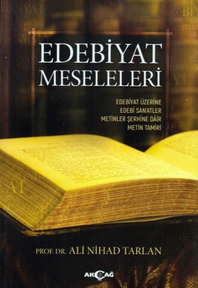 Edebiyatın Meseleleri