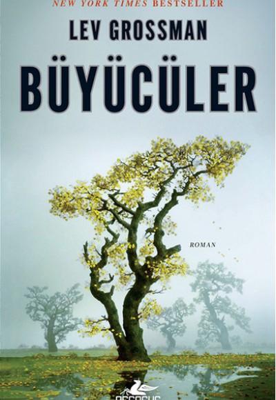 Büyücüler