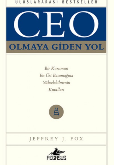 Ceo Olmaya Giden Yol