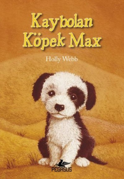 Kaybolan Köpek Max