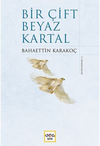 Bir Çift Beyaz Kartal (Ciltli)