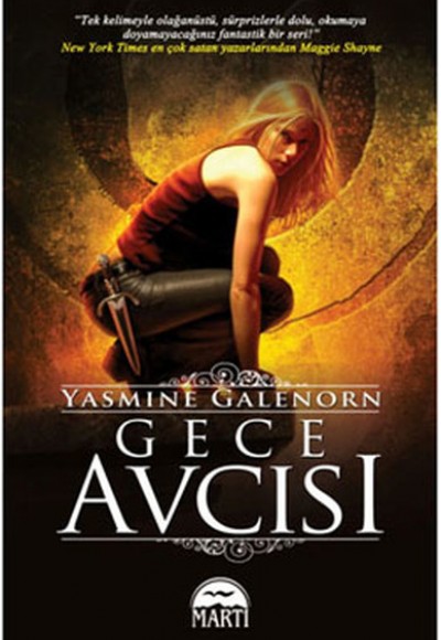 Gece Avcısı