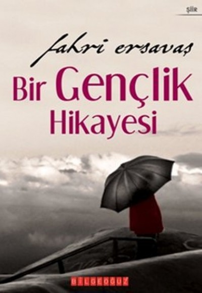 Bir Gençlik Hikayesi