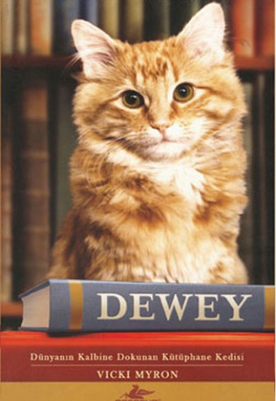 Dewey (Cep Boy)