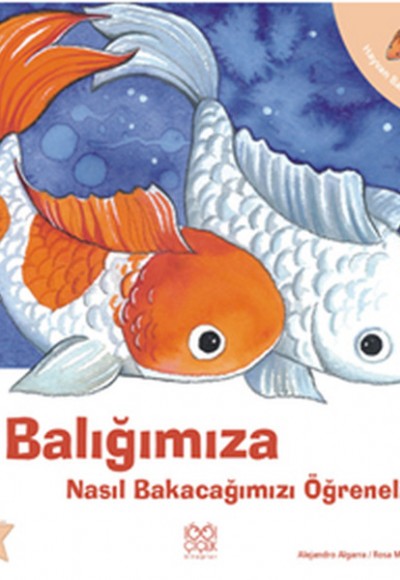 Balığımıza Nasıl Bakacağımızı Öğrenelim