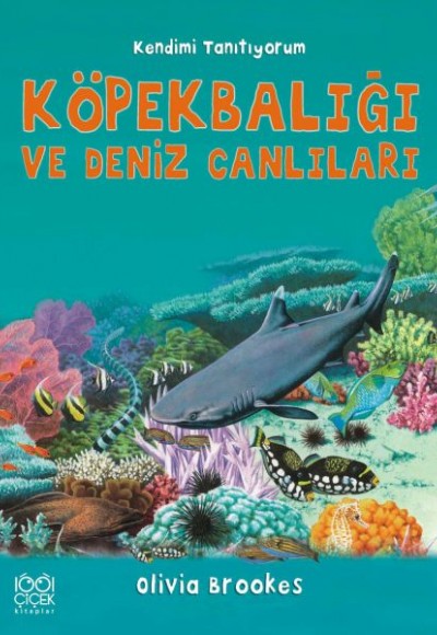 Köpekbalığı ve Deniz Canlıları - Kendimi Tanıtıyorum