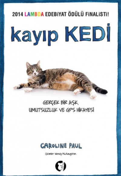 Kayıp Kedi