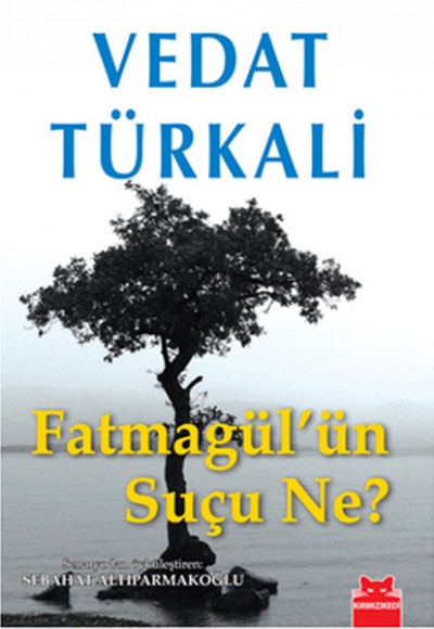 Fatmagül'ün Suçu Ne?