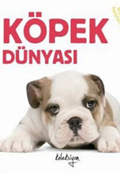 Köpek Dünyası