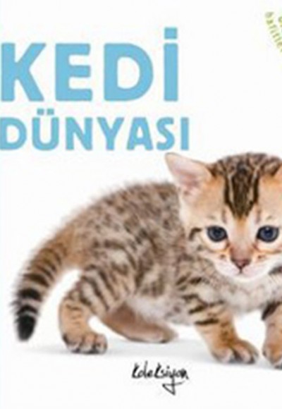 Kedi Dünyası