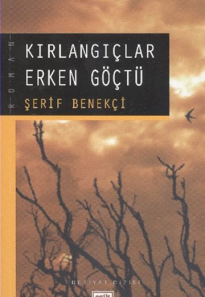 Kırlangıçlar Erken Göçtü