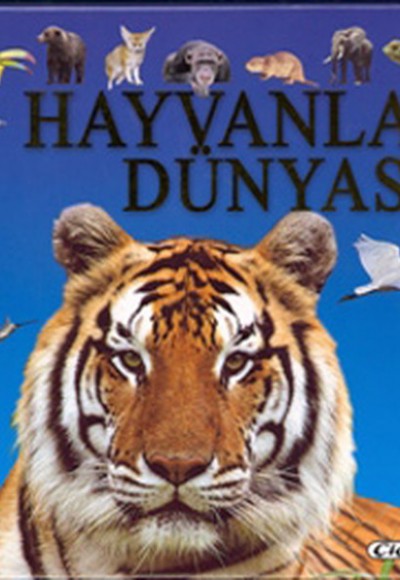 Hayvanlar Dünyası