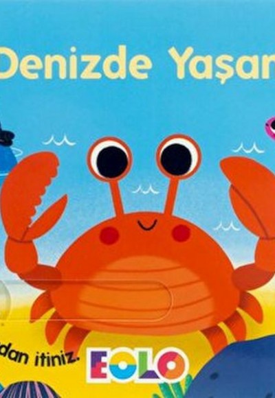 Sürgülü Kitaplar-Denizde Yaşam