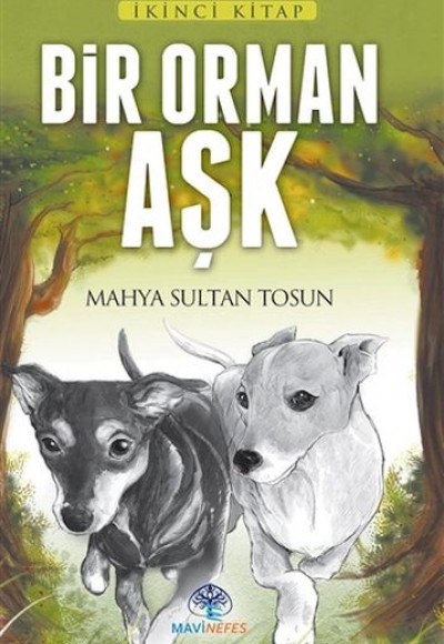 Bir Orman Aşk