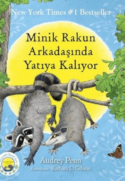 Minik Rakun Arkadaşında Yatıya Kalıyor