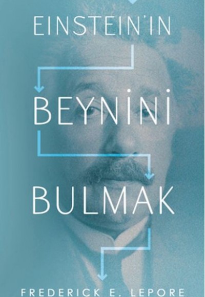 Eınsteın’ın Beynini Bulmak