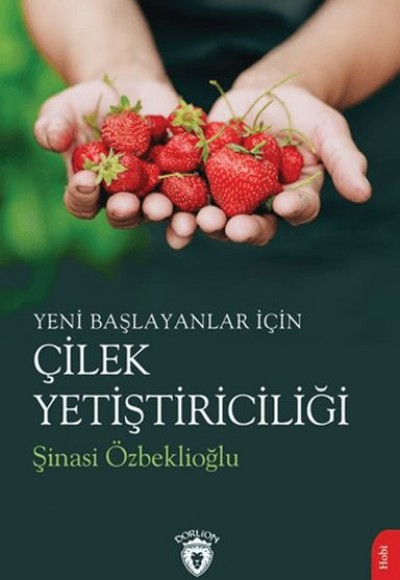 Yeni Başlayanlar İçin Çilek Yetiştiriciliği