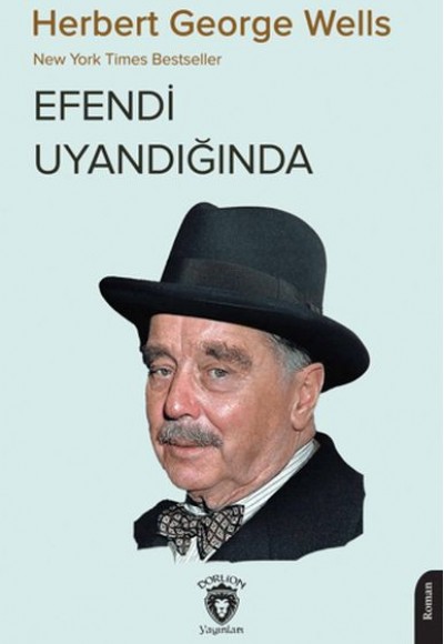 Efendi Uyandığında