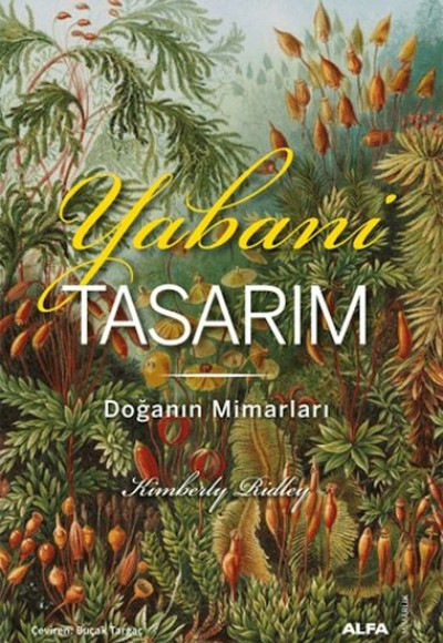 Yabani Tasarım