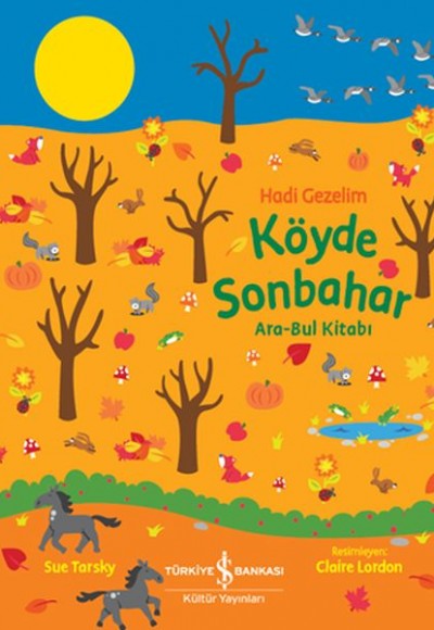 Köyde Sonbahar Ara-Bul Kitabı - Hadi Gezelim